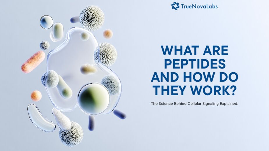 what-are-peptides-and-how-do-they-work-the-science-behind-cellular-signaling-explained