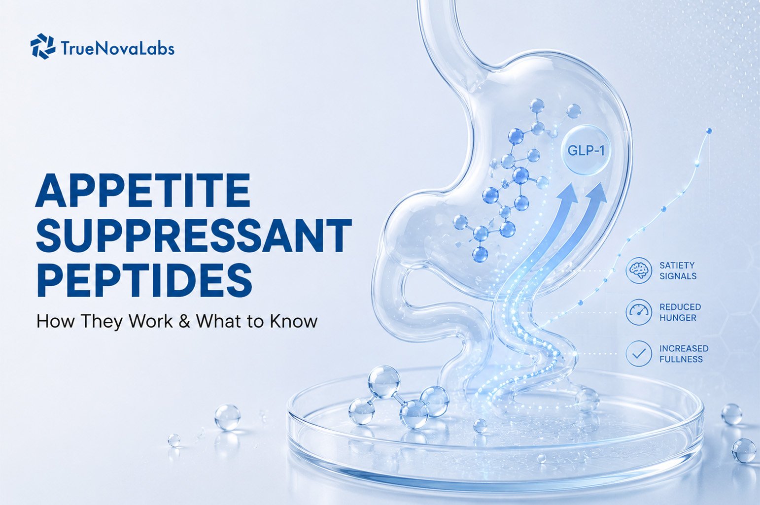 Appetite Suppressant Peptides: How They Work & What to Know