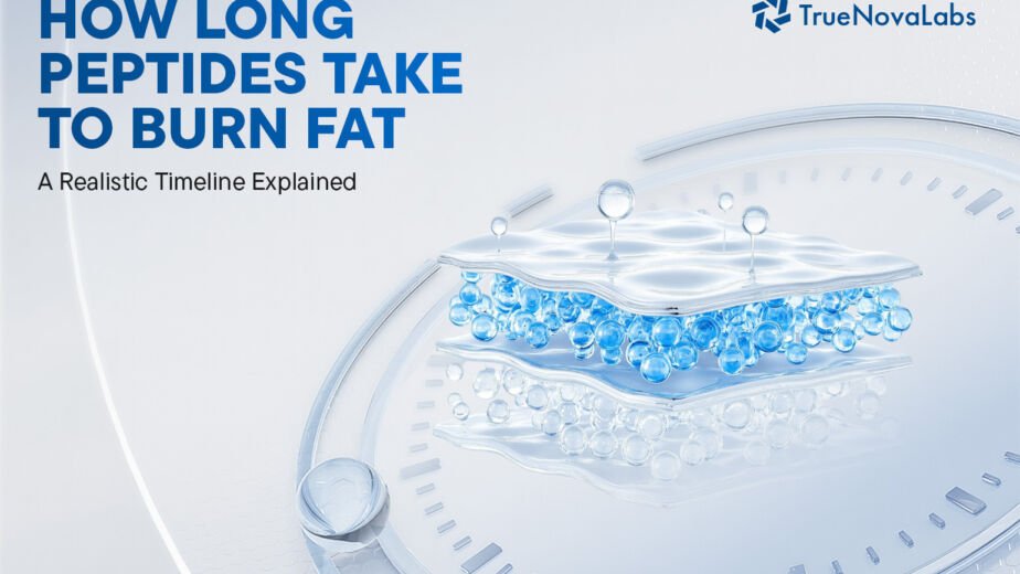 how-long-peptides-take-to-burn-fat-a-realistic-timeline-explained