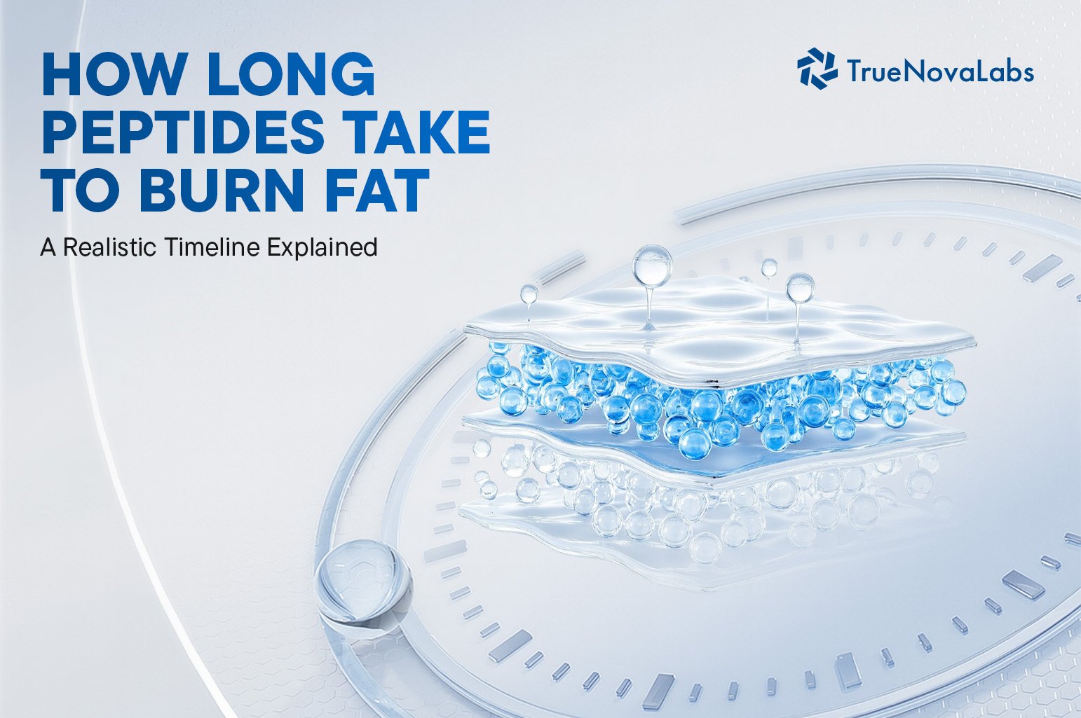 How Long Peptides Take to Burn Fat: A Realistic Timeline Explained