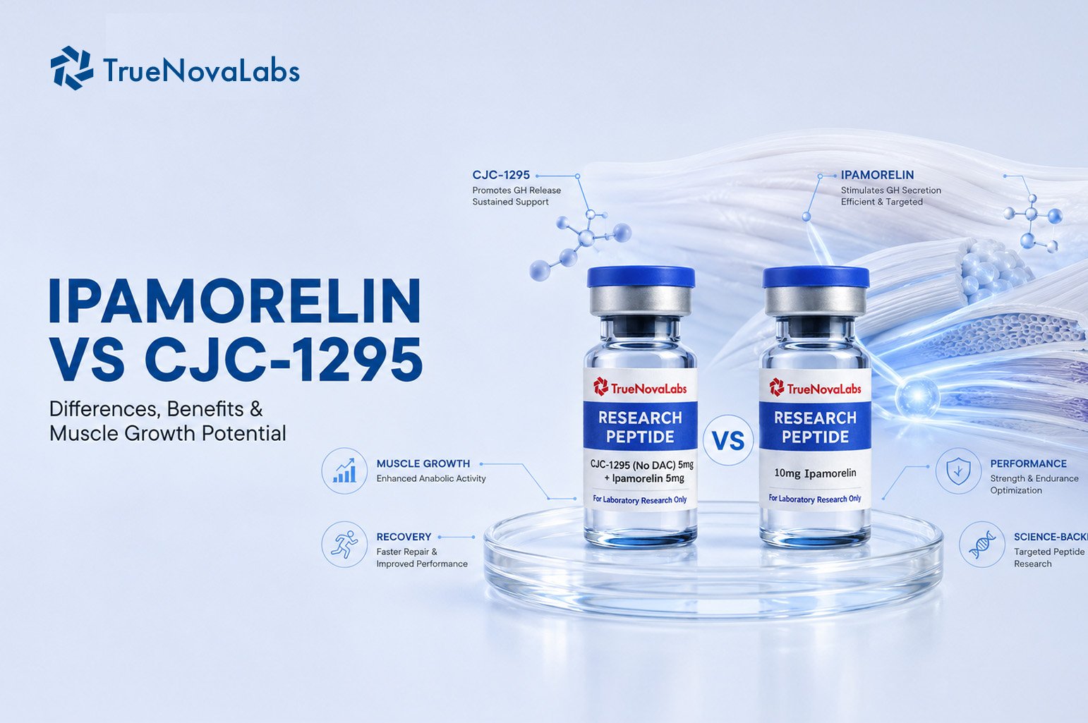Ipamorelin vs CJC-1295: Differences, Benefits & Muscle Growth Potential
