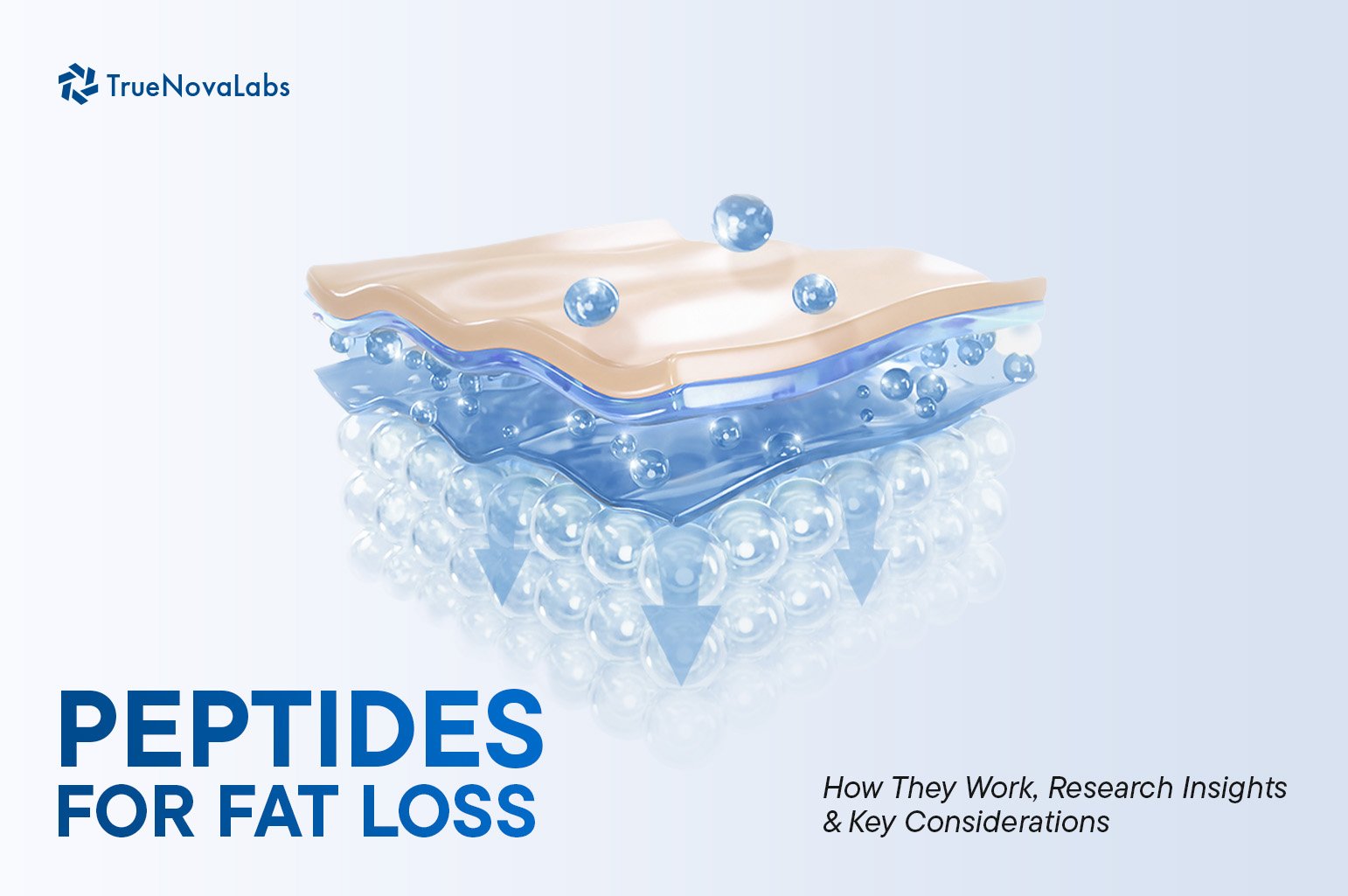 Peptides for Fat Loss: How They Work, Research Insights & Key Considerations