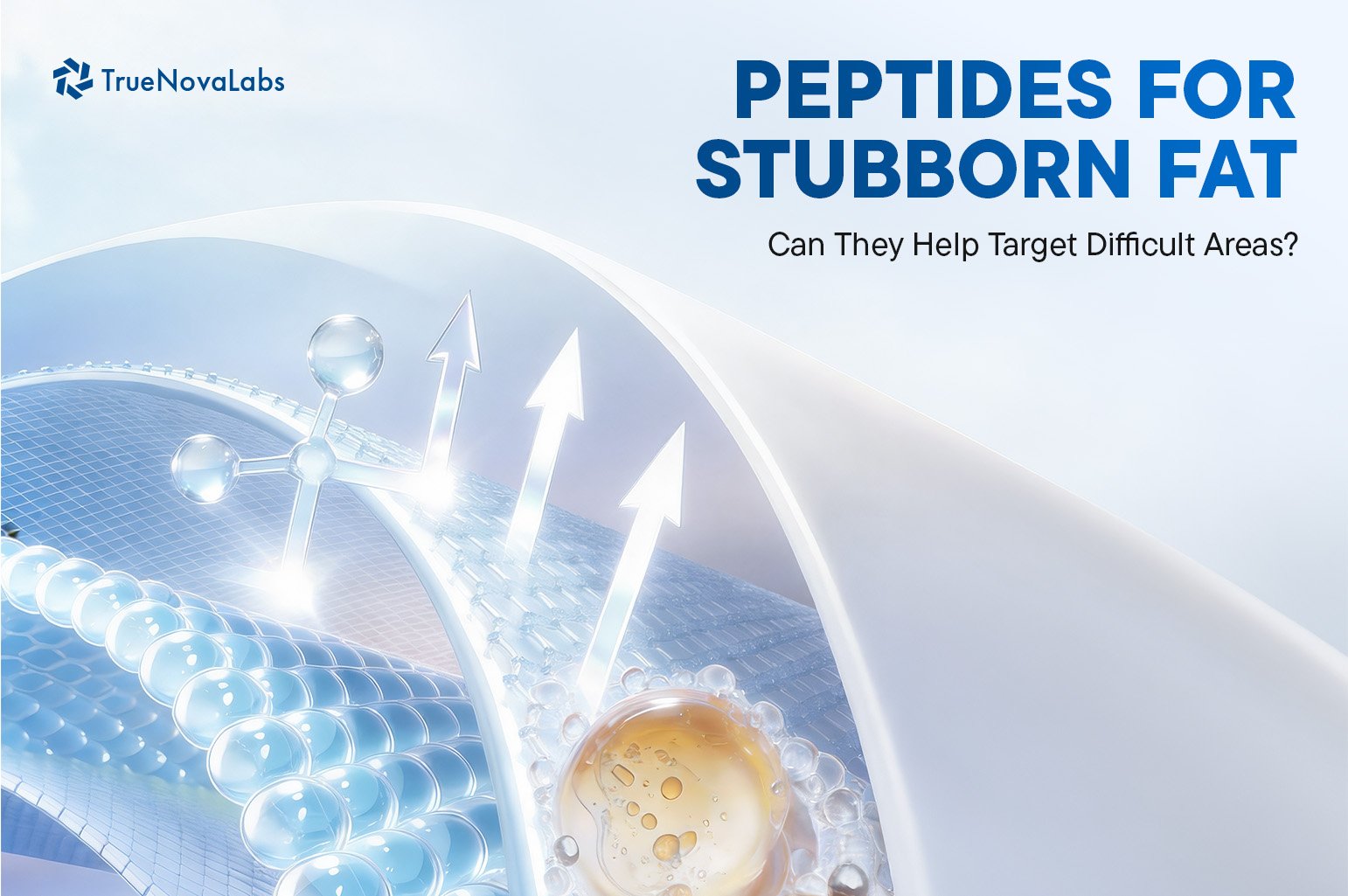 Peptides for Stubborn Fat: Can They Help Target Difficult Areas?